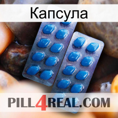 Капсула viagra2